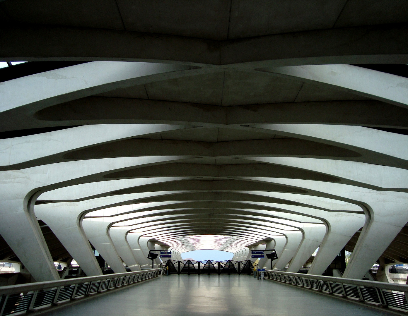 Calatrava's St. Exupery rail station