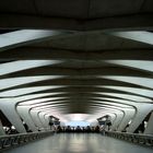 Calatrava's St. Exupery rail station