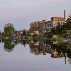 Calbe die Saale im Abendlicht