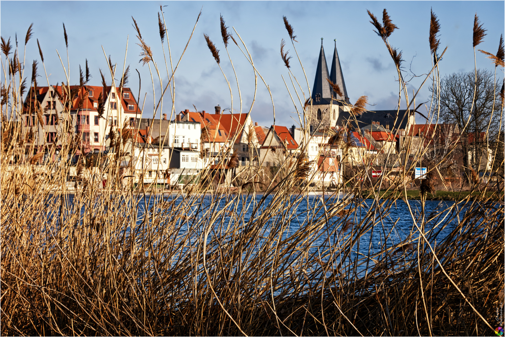 Calbe, Ufer"hecke"