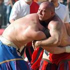 Calcio storico 08