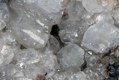 Calcit-Kristalle aus einem Isastraea-Stock aus Lothringen