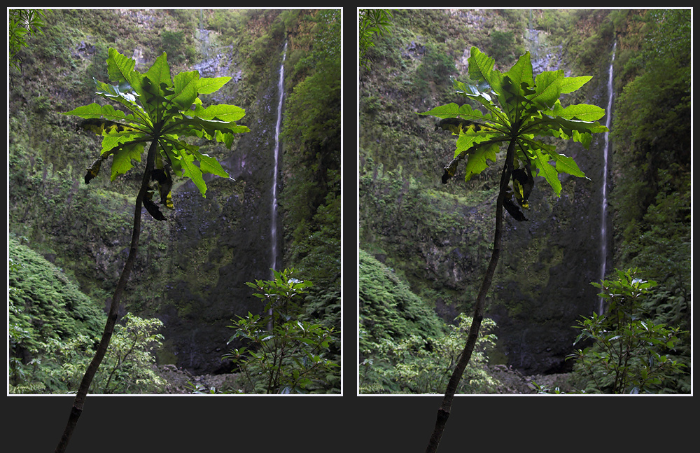 Caldeirão Verde auf Madeira [3D]