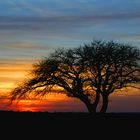 Caldèn al amanecer