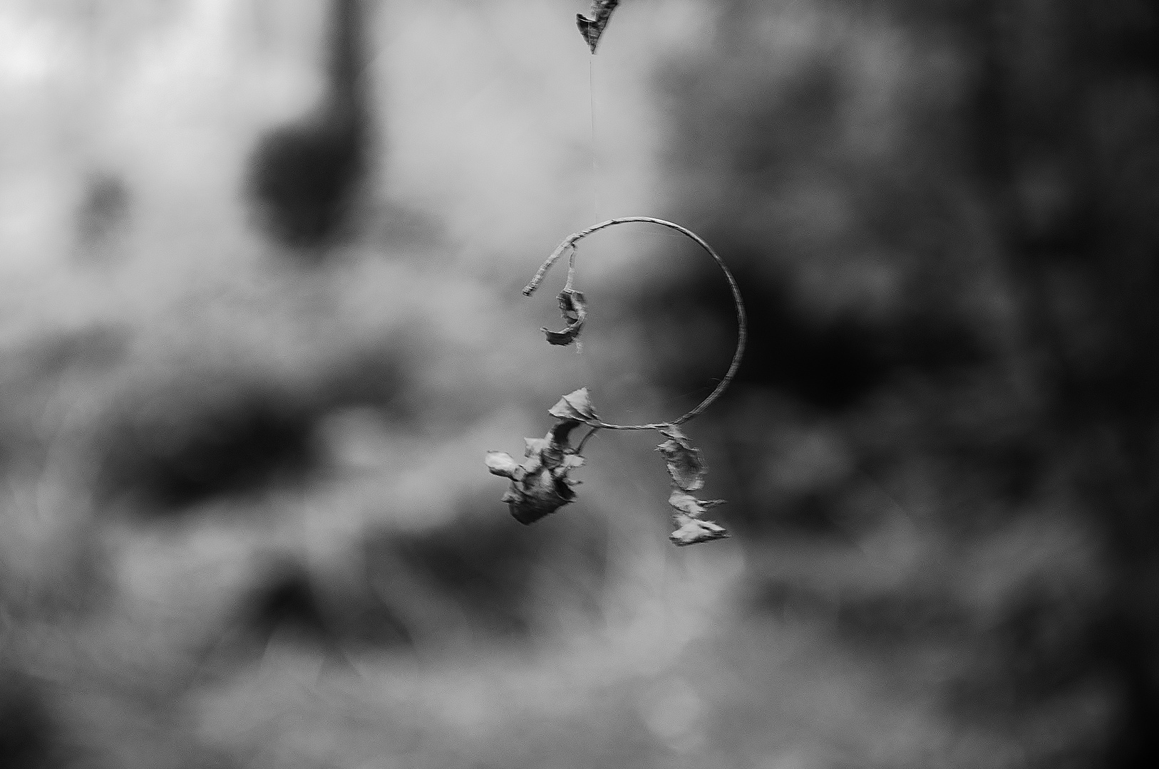 Calder