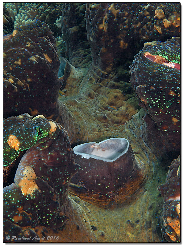 Caldera ? Foto & Bild meer, natur, ozean Bilder auf