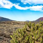 Caldera Colorada