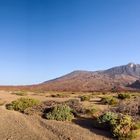 Caldera de las Cañadas - Tenerife