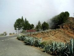 Caldera de Los Marteles.