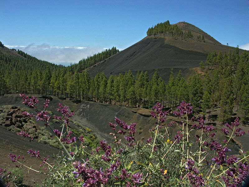 Caldera de los Pinos de Gáldar