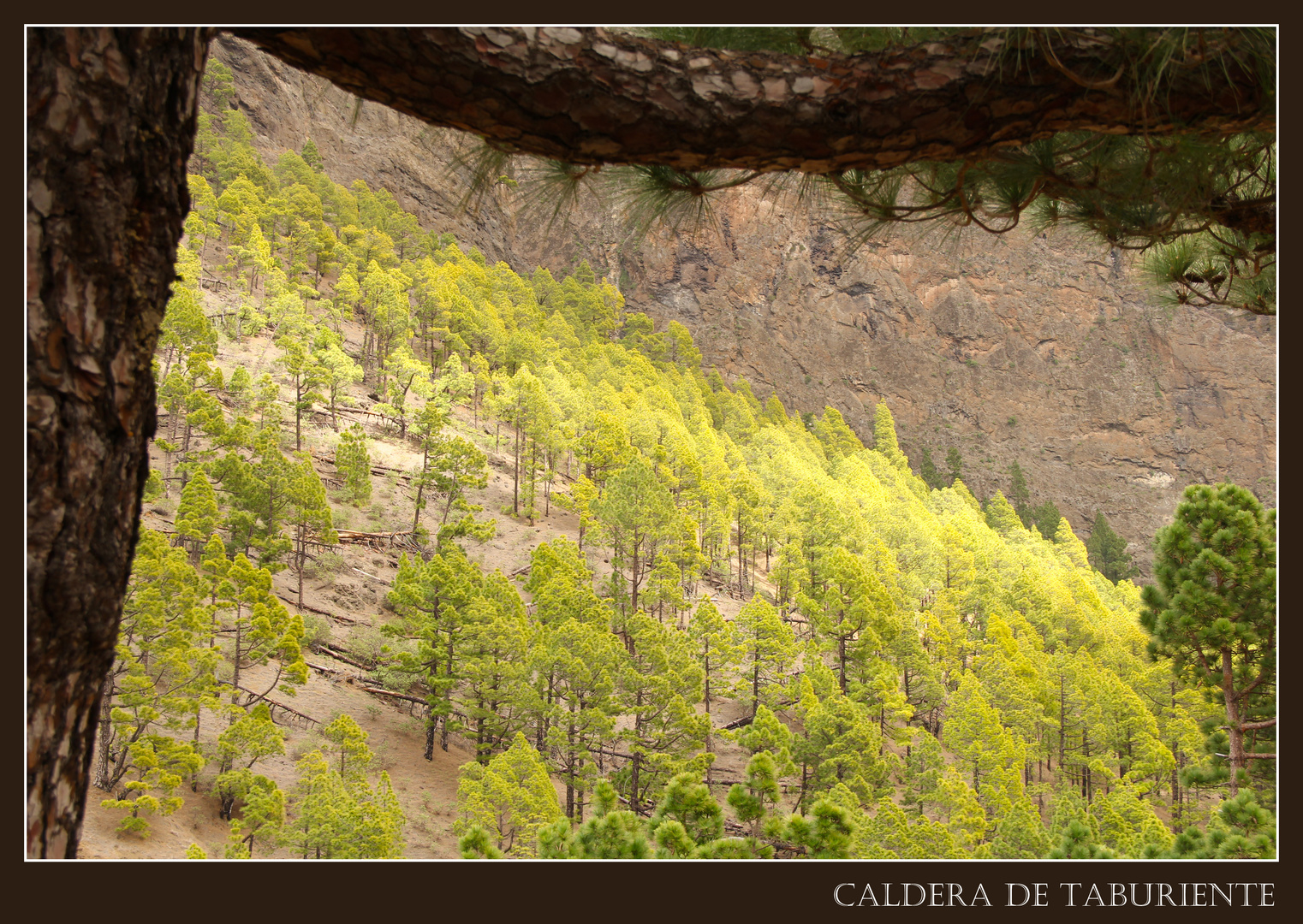 Caldera de Taburiente