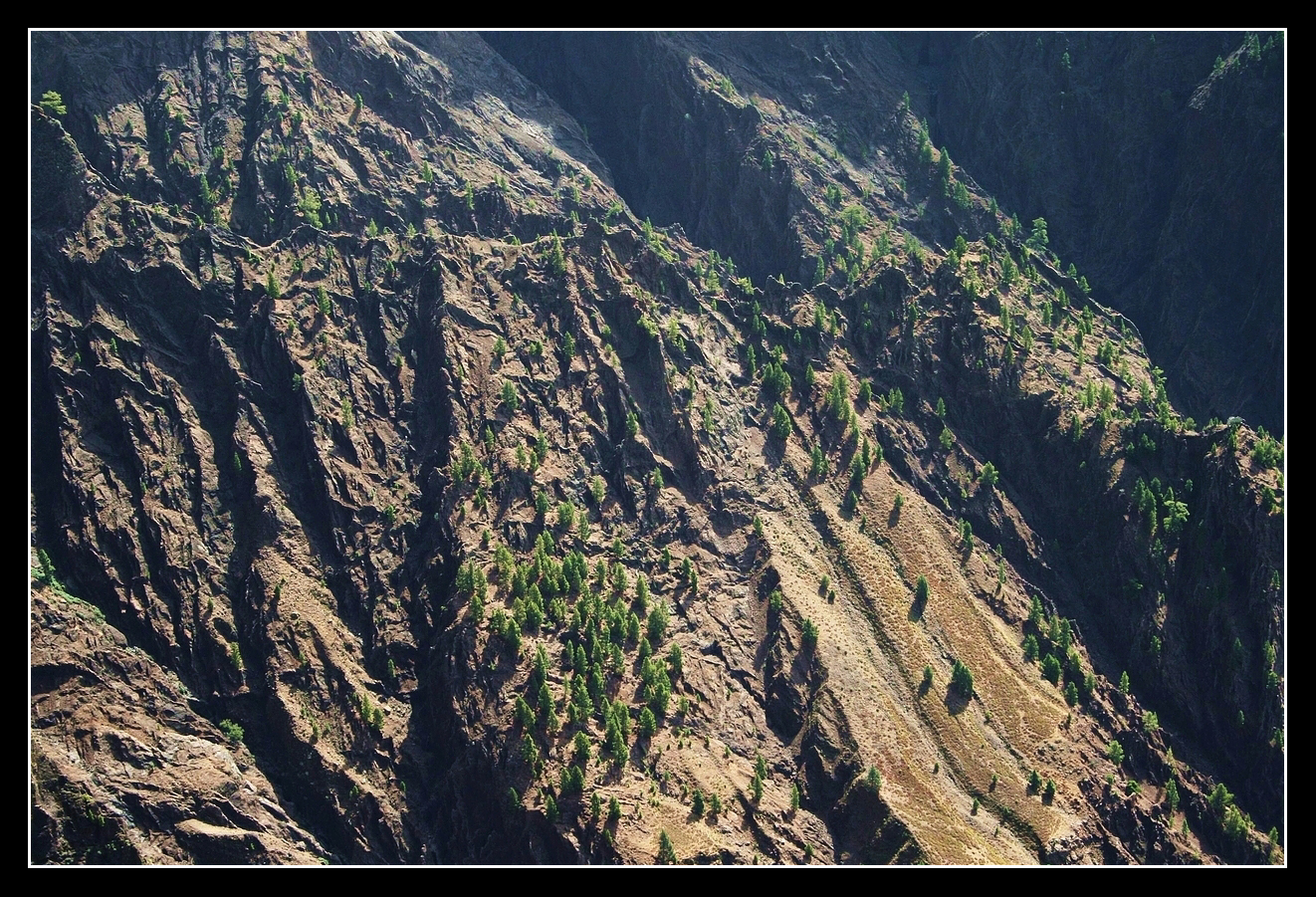 Caldera de Taburiente - La Palma 4