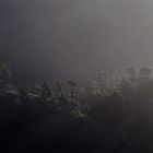 Caldera de Taburiente  -Sonnenaufgang-