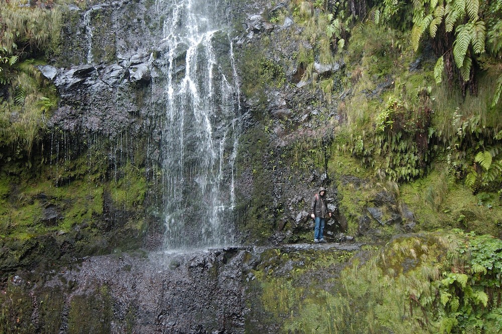 calderao verde