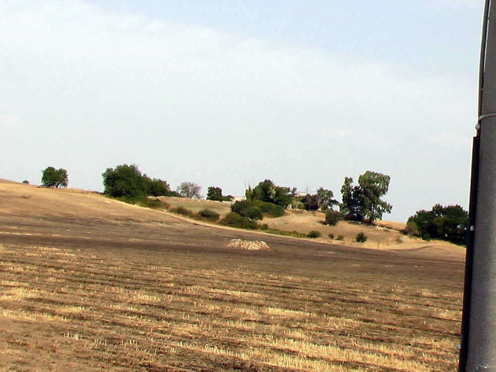 CALDI COLORI ESTIVI CAMPAGNA CASTELLANETANA