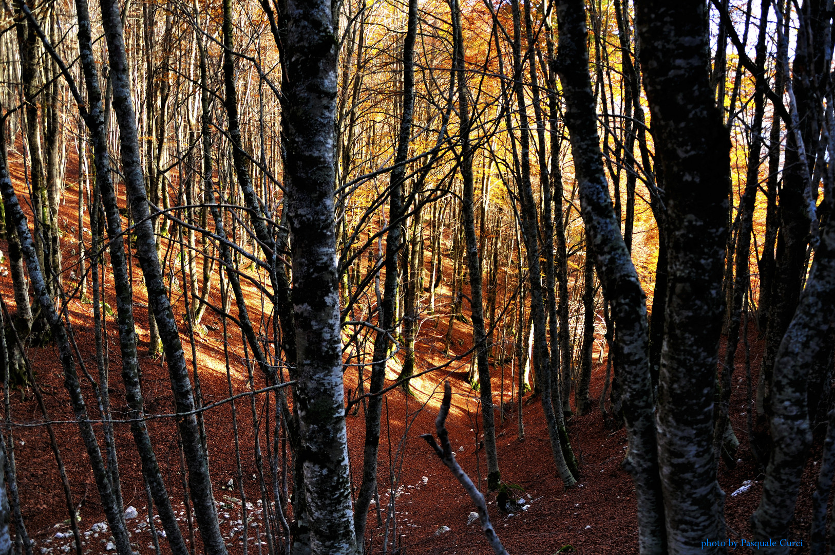 caldo autunno