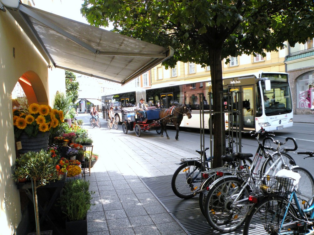 Calèche, vélo, bus, trois façons de se déplacer !