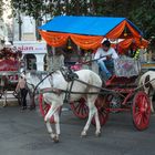 Calèches à Bombay, quartier Colaba