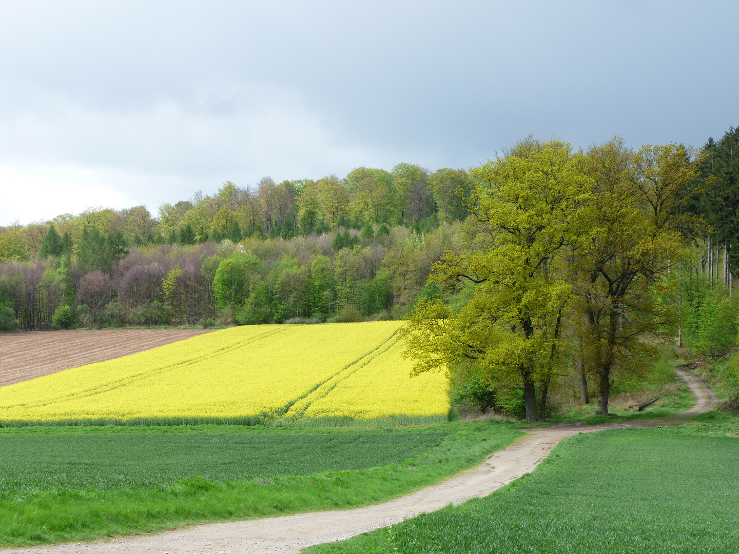 Calenberger Land