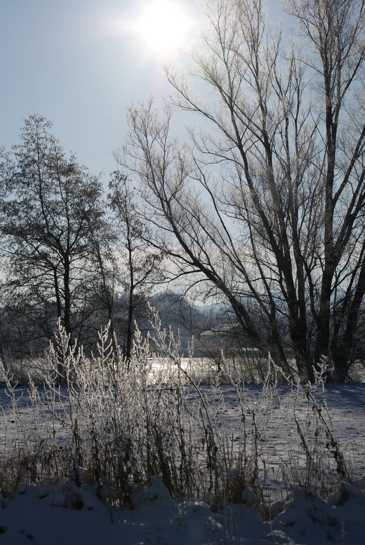 Calenberger Land im Winter