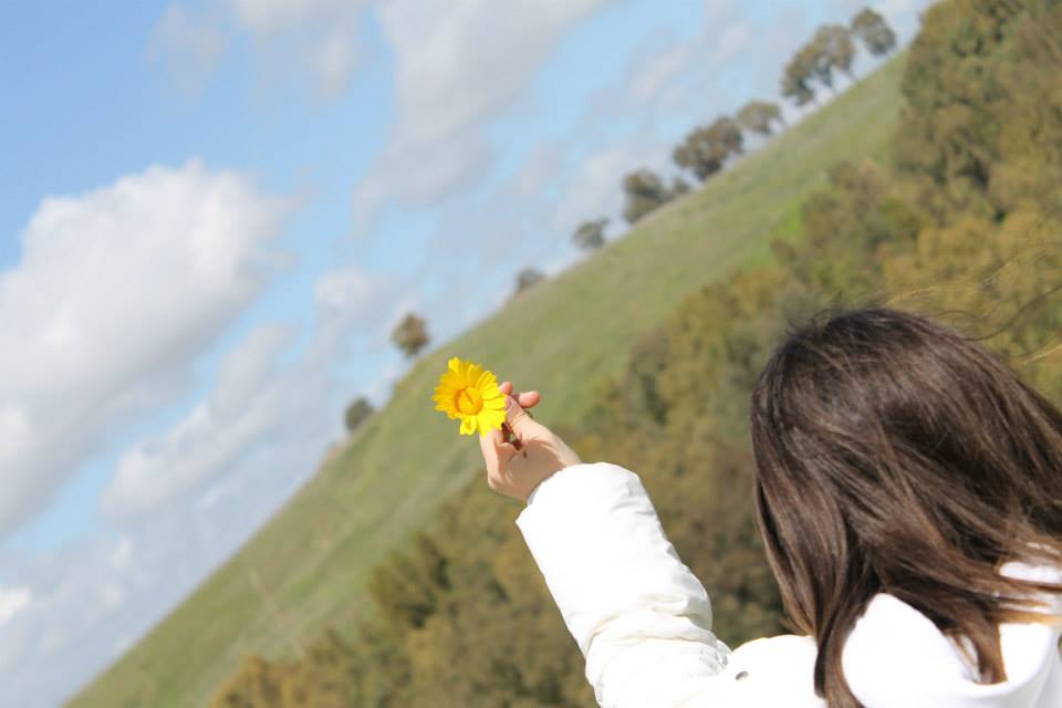 Calendula fra le mani