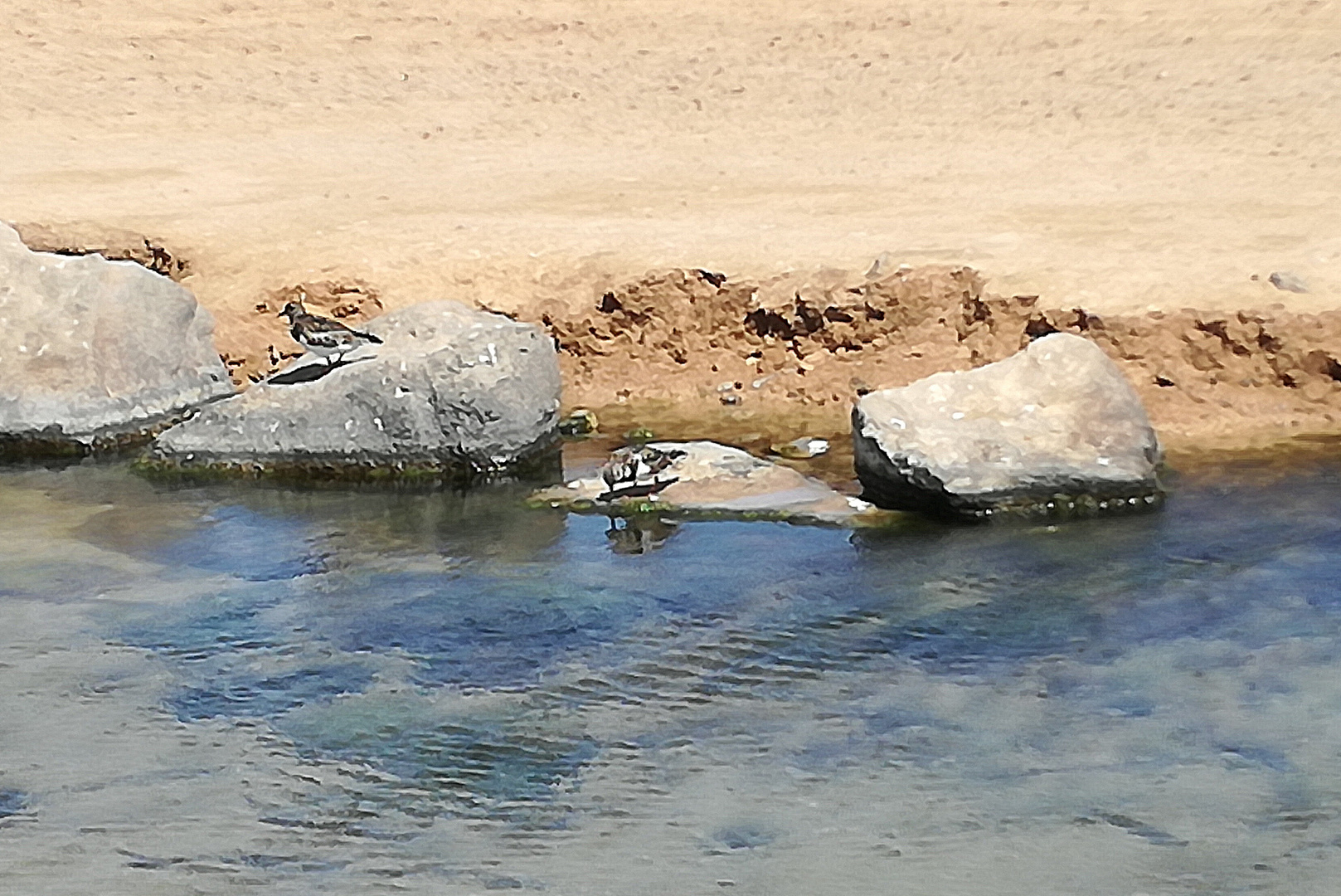 Caleta de Fuste, Fuerteventura