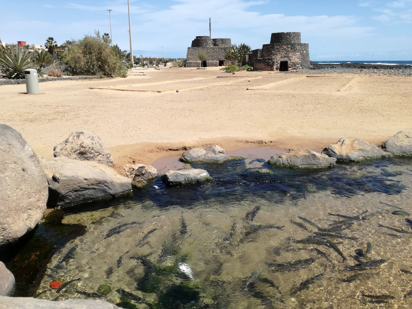 Caleta de Fuste, Fuerteventura