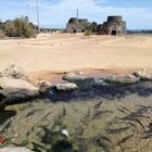 Caleta de Fuste, Fuerteventura