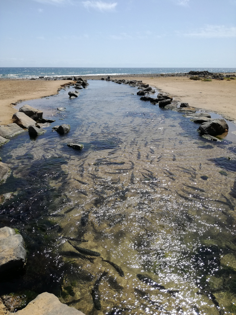 Caleta de Fuste, Fuerteventura