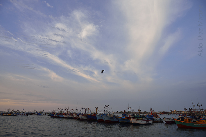 Caleta El Chaco Paracas