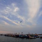 Caleta El Chaco Paracas