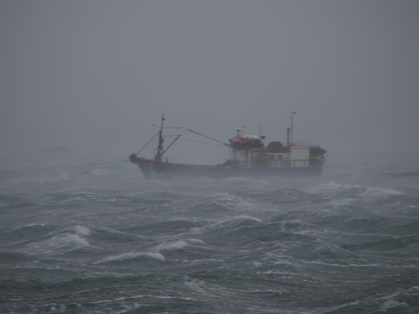 Caleta Lenox bei orkanartigem Wind