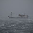 Caleta Lenox bei orkanartigem Wind