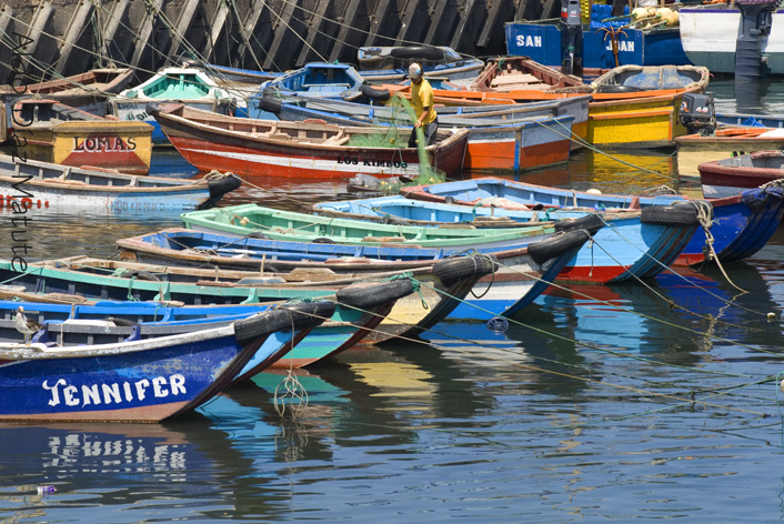 Caleta Lomas