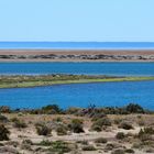 Caleta Valdés