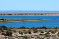 Caleta Valdés