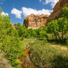 Calf Creek