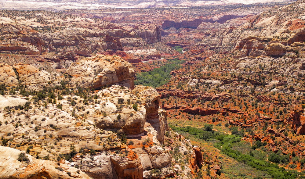 Calf Creek Canyon