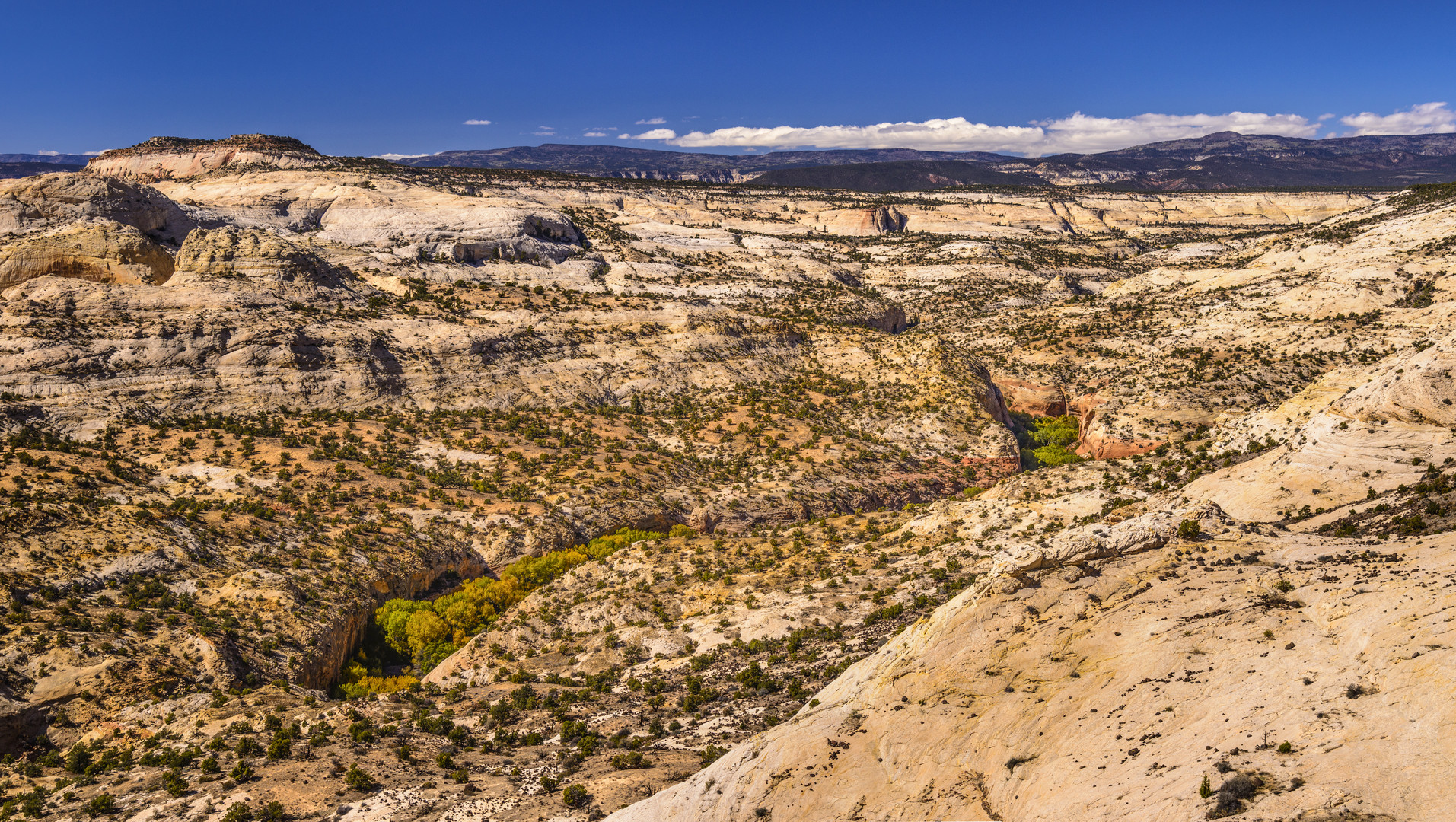 Calf Creek Canyon, Utah, USA