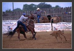 Calf Roping, TX   #2