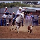 Calf Roping, TX