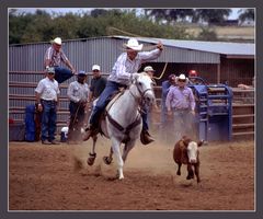 Calf Roping, TX