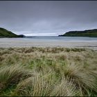 Calgary Bay