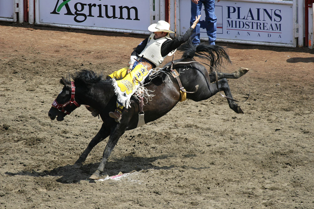 Calgary Stampede-2