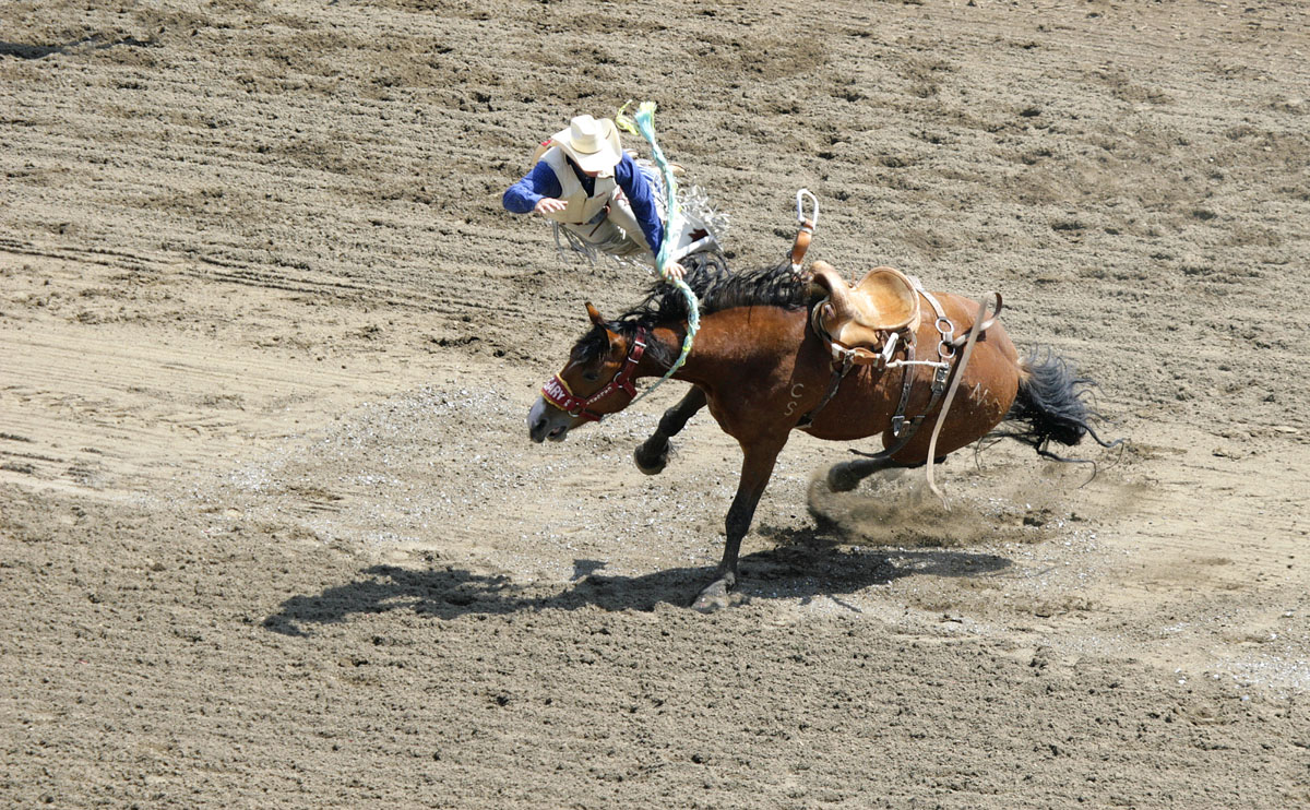 Calgary Stampede-3