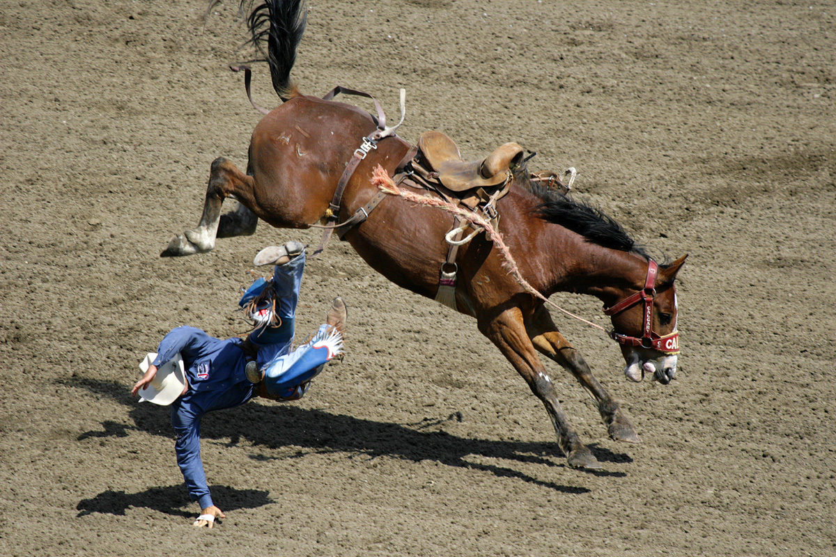 Calgary Stampede