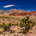 Calico Hills, Red Rock Canyon, Nevada, USA