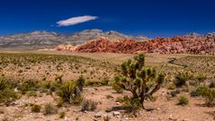 Calico Hills, Red Rock Canyon, Nevada, USA