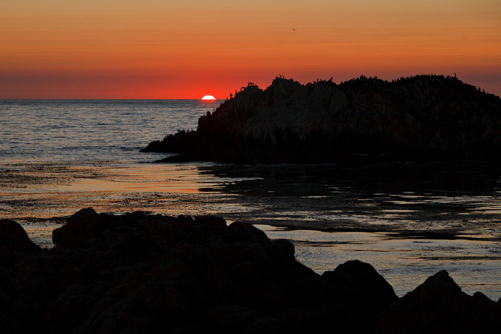 California 7 - 17 Mile Drive