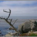 CALIFORNIA BEACH